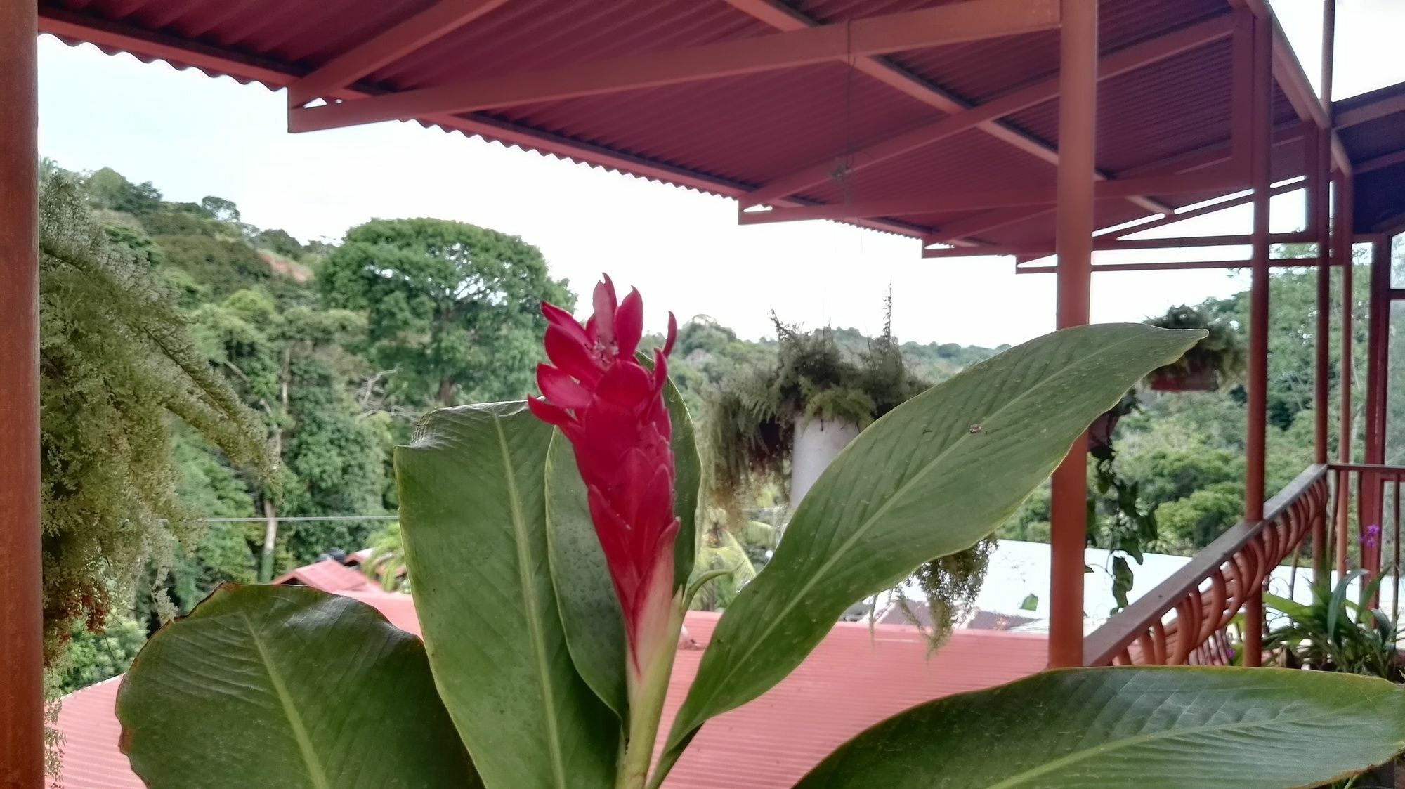 Natural Pacific Suites Vườn quốc gia Vườn quốc gia Manuel Antonio Ngoại thất bức ảnh