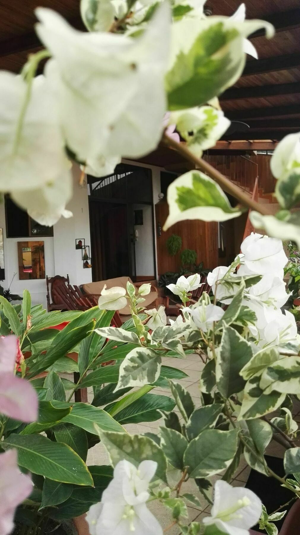 Natural Pacific Suites Vườn quốc gia Vườn quốc gia Manuel Antonio Ngoại thất bức ảnh